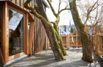 Das Baumhaus ist in eine Baumkrone gebaut wordenCopyright: © imago /Gabi Sonnenschein