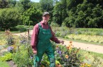 Kunstwerk aus Blüten, Blättern und Farben: Detlev Meier freut sich über die gelungene Sommerbepflanzung im Botanischen Garten.