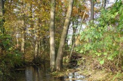 Furlbach
