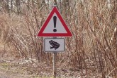 Die Amphibienwanderung in Minden: Autofahrer müssen aufpassen. Foto: © Stadt Minden