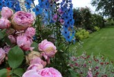 Blütenpracht in den lippischen Gärten im Rosenmonat Juni. Foto: privat