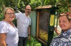 Betrachten die Bienen (von links): Imkerin Ingrid Dirkwinkel, BBF-Prokurist Dr. Hans-Jürgen Stern und Martina Brand vom Förderverein Naturbad Brackwede.