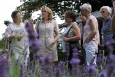 Am Samstag lädt Stadtführerin Barbara Weidler interessierte Schnuppernasen zum Rundgang in den Botanischen Garten ein. (Foto: Dunja Delker)