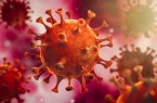 Coronavirus, Foto: ©peterschreiber.media - stock.adobe.com