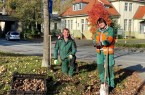 Vorbereitungen für den Frühling: (v.l.) Frederik Lewike und Beate Durek vom städtischen Fachbereich Grünflächen haben mit der Pflanzung von 10.000 Blumenzwiebeln im Gütersloher Verkehrsgrün begonnen.