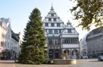 Mit einer Höhe von rund 19 Metern ist der Weihnachtsbaum der größte, der bisher vor dem Paderborner Rathaus stand.Foto: © Stadt Paderborn