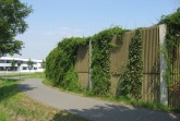 Derzeit überprüft die Stadt die Lärmschutzwände im Stadtgebiet, wie hier am Wohnpark Wilhelmshöhe und muss daher die Begrünung an den Wänden zurückschneiden. Foto: Stadt Paderborn