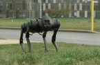 "Achilles" ist ein Roboterhund, mit dem an der Hochschule Bielefeld geforscht wird. Sein "Herrchen", Prof. Dr. Axel Schneider, ist bei Brainstorm zu Gast.