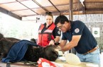 Noteinsatz: VIER PFOTEN Tierarzt und Missionsleiter Dr. Amir Khalil und Team versorgen grausam misshandelte Tanz- und Kampfbären. © VIER PFOTEN | Usman Ghani