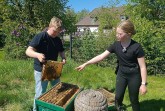 Nachwuchs-Imker Jasper und Lina Valentin haben überhaupt keine Berührungsängste. Auch Besucher können den Bienenvölkern im Gartenpark ganz nahekommen. Foto © Huxarium Gartenpark Höxter