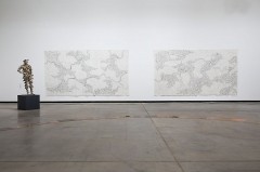 Ausstellungsansicht „Kartographien des Wachstums – Katinka Bock im Dialog mit Lois Weinberger“, 7. 2. – 7. 6. 2026, Courtesy Studio Lois Weinberger und Galerie Krinzinger, Wien, © Marta Herford, Foto: Hans Schröder